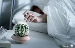 A woman about to touch a small cactus sitting on her bedside table